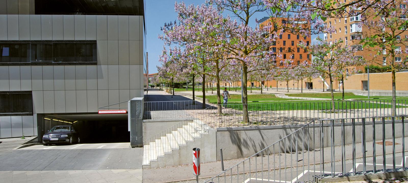 Flowering trees on top of an underground garage